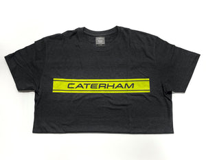 Caterham T-Shirt Grey-Green Stripe Logo